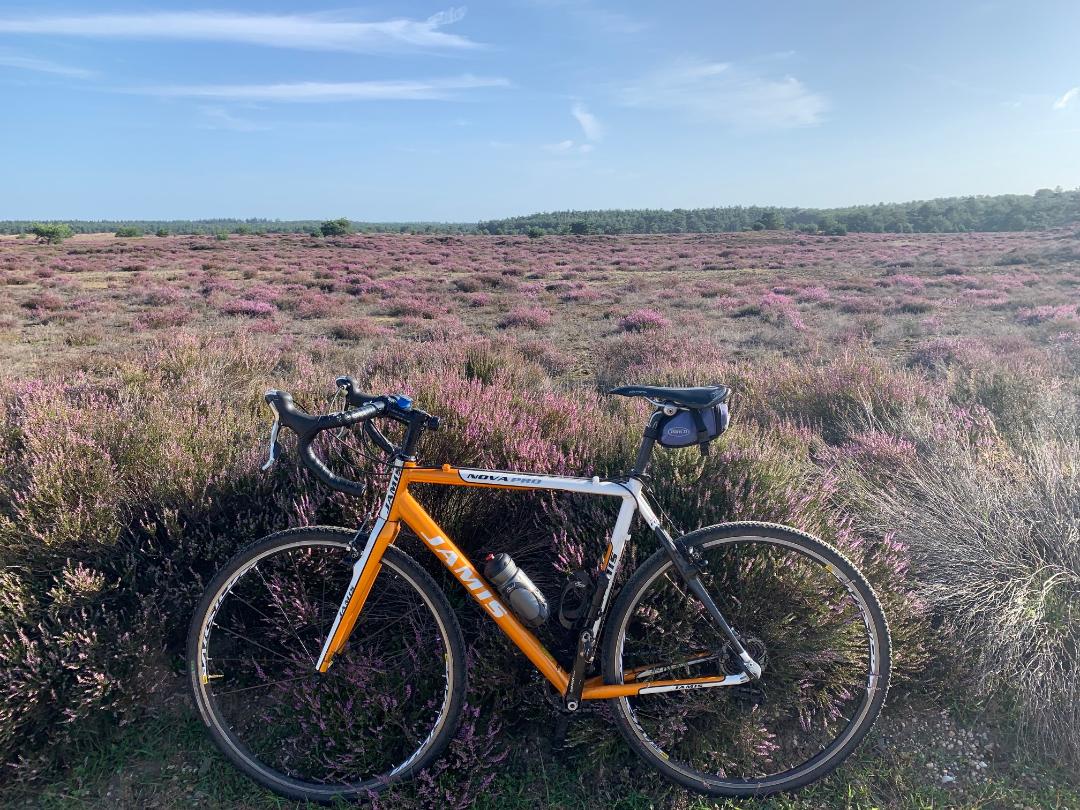 Management by Biking Around
